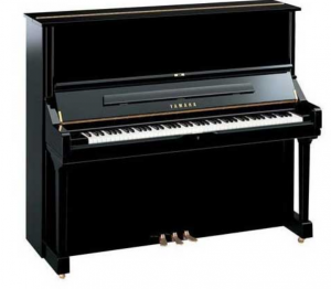 Piano cơ biên hòa