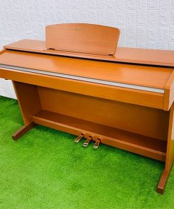 piano điện biên hòa